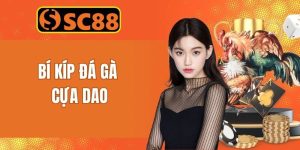 Bí Kip Đá Gà Cựa Dao