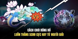 Cách Chơi Rồng Hổ Luôn Thắng SC88 Cực Hay Từ Người Giỏi