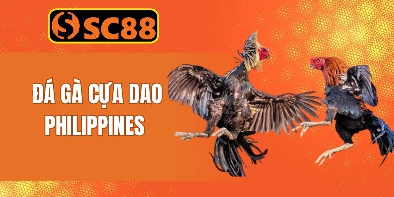 Người chơi có thể chiêm ngưỡng hình thức đá gà SC88
