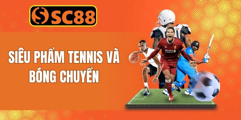 Siêu phẩm cá cược bóng rổ, tennis và bóng chuyền đặc sắc
