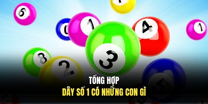 Tổng hợp dây số 1 có những con gì